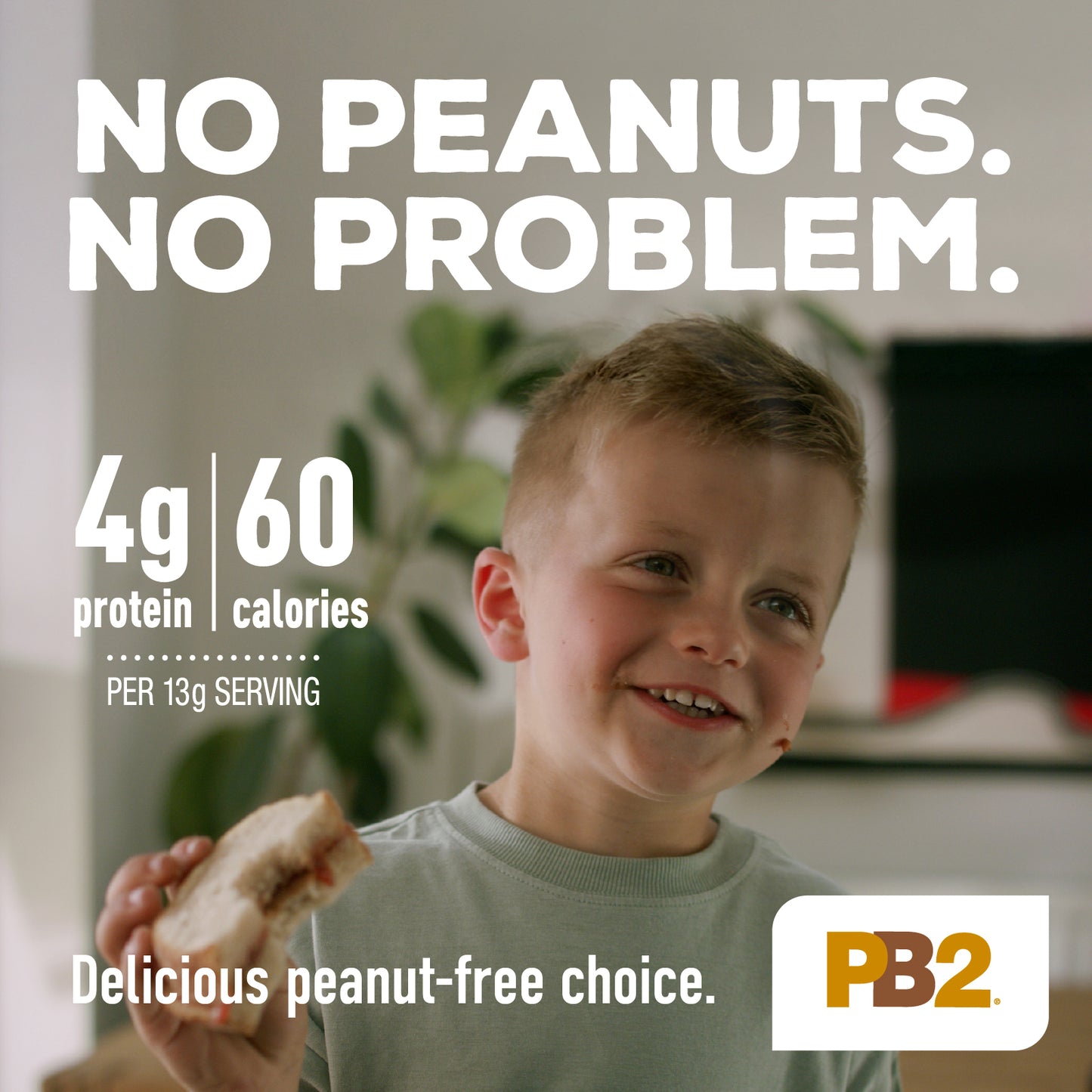 PB2 - Powdered Cashew Butter