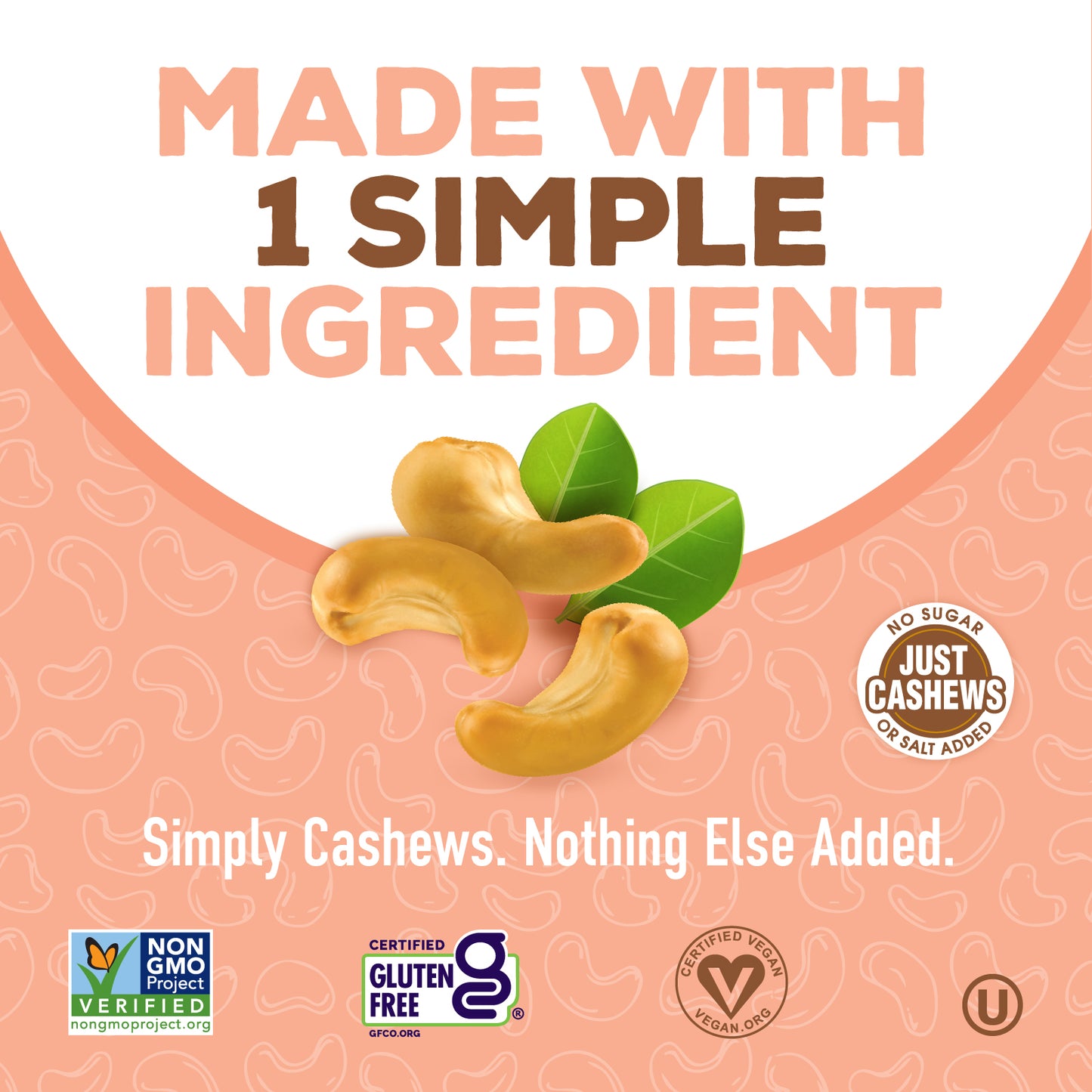 PB2 - Powdered Cashew Butter