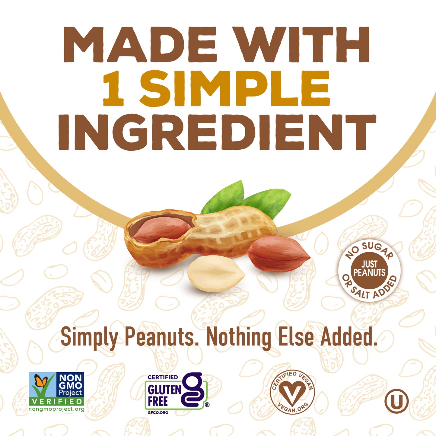 PB2 - Pure Peanut Powder - No Sugar or Salt